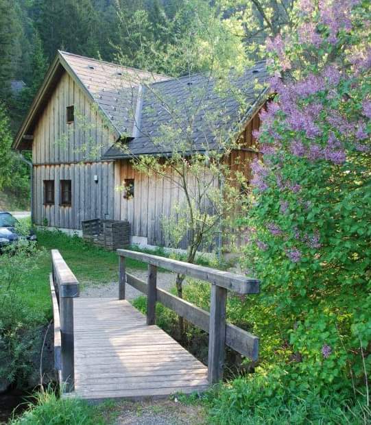 Bild vom Märchenhaus in Thal. Foto von der Wiese aus gemacht im Frühling. Im Vordergrund sieht man einen blühenden Busch.